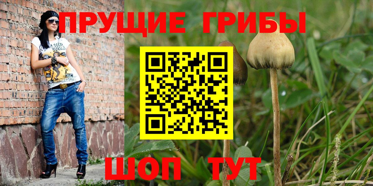 Псилоцибиновые грибы GOLDEN TEACHER Урюпинск