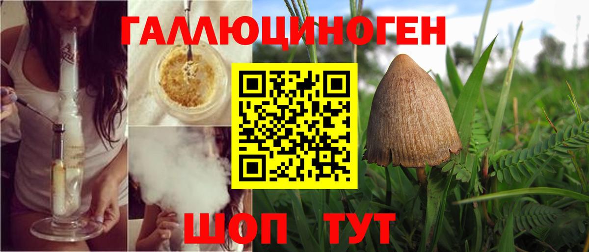 Галлюциногенные грибы прущие грибы  Вход с VPN  Урюпинск 
